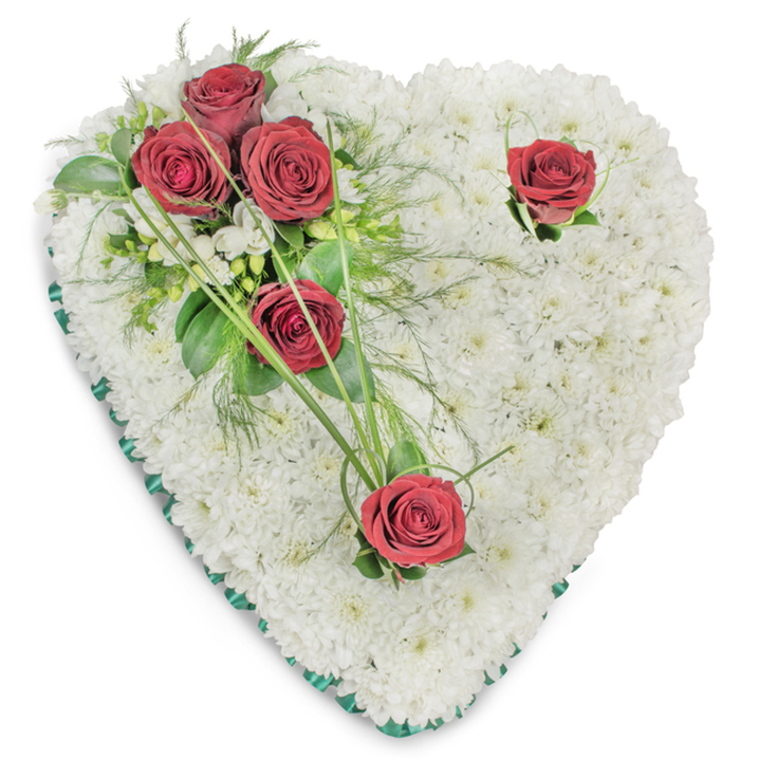 A carefully composed heart-shaped sympathy spray, shown on a plain white surface so the floral textures are the primary language. The main body is a dense, seamless field of small white chrysanthemums, each bloom arranged to form a cushioned, almost pillowed plane that reads as serenity made visible. On the upper left, a compact cluster of three deep crimson roses commands attention, their petals unfurling fully and nestling into an embrace of dark green leaves and feathery ferny foliage; slim, bright green bear-grass strands sweep gently away from this cluster, adding a sense of motion. Two additional red roses are set apart - one near the upper right curve and the other at the bottom point - acting as quiet punctuation marks across the white expanse; each is accompanied by a whisper of foliage and tiny white accent blooms that echo the chrysanthemum texture. The perimeter of the heart is finished with a narrow emerald-green satin ribbon, a polished band that defines the shape and adds a respectful, understated colour border. Soft lighting from above reveals subtle shadows between blooms and brings out the chrysanthemum's texture while keeping the overall mood calm and reverent. The scent is suggested rather than intrusive: cool chrysanthemum freshness balanced by the deep, classic aroma of red roses and leafy green. This traditional memorial composition is the sort of arrangement offered for funeral tributes or chapel displays, chosen for its balance of purity and passionate remembrance by families across Emerson Park, Hornchurch and nearby community venues.