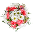 This expertly crafted bouquet embodies the vibrant renewal Emerson Park celebrates each spring. At its core, cheerful white daisies with gleaming lime centers beam among a sea of coral-pink carnations, their ruffled petals dancing with every shift of light. Wisps of baby's breath create clouds of delicate white, lending a dreamy softness that lightens the composition and brings a joyful, almost effervescent energy-echoing the feeling of a stroll down Nelmes Way on a sunlit morning. Subtle blush-toned alstroemeria buds emerge amid a lush tapestry of eucalyptus and varied foliage, hinting at future blossoms and weaving gentle fragrance through the bouquet. The interplay of silvery leaves and rich, emerald green stems forms a circular embrace, adding both structure and serenity. Everything rests against a pristine white backdrop, each detail luminous and inviting, suggesting freshness and a touch of local pride. This arrangement, crafted by community florists, captures the essence of celebration-perfect for birthdays, thank-yous, or just bringing brightness to a home in Emerson Park. The overall feeling is both tranquil and exuberant: a tribute to the skilled artistry that infuses local flower delivery with the uplifting joy of nature's finest blooms.